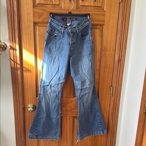 Silver Jeans Blue Flare Wide Leg Denim